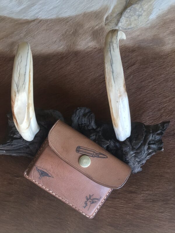 Springbok